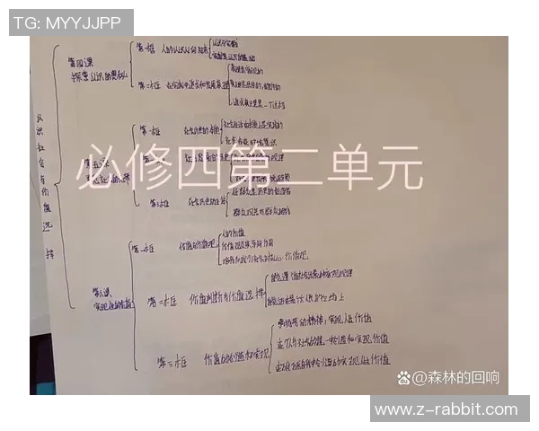 方便与莱的对比分析探讨生活中的选择与价值观念 方便与莱的对比分析探讨生活中的选择与价值观念